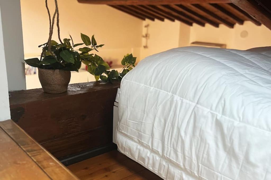Appartement Romantic In